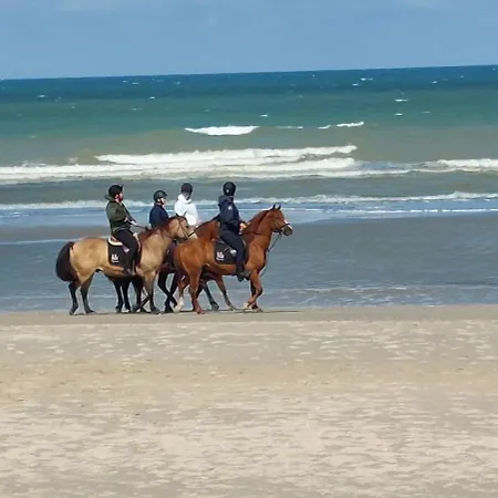 아파트 Esplanade709 드판