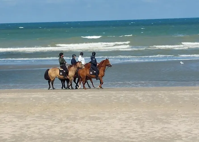 아파트 Esplanade709 드판